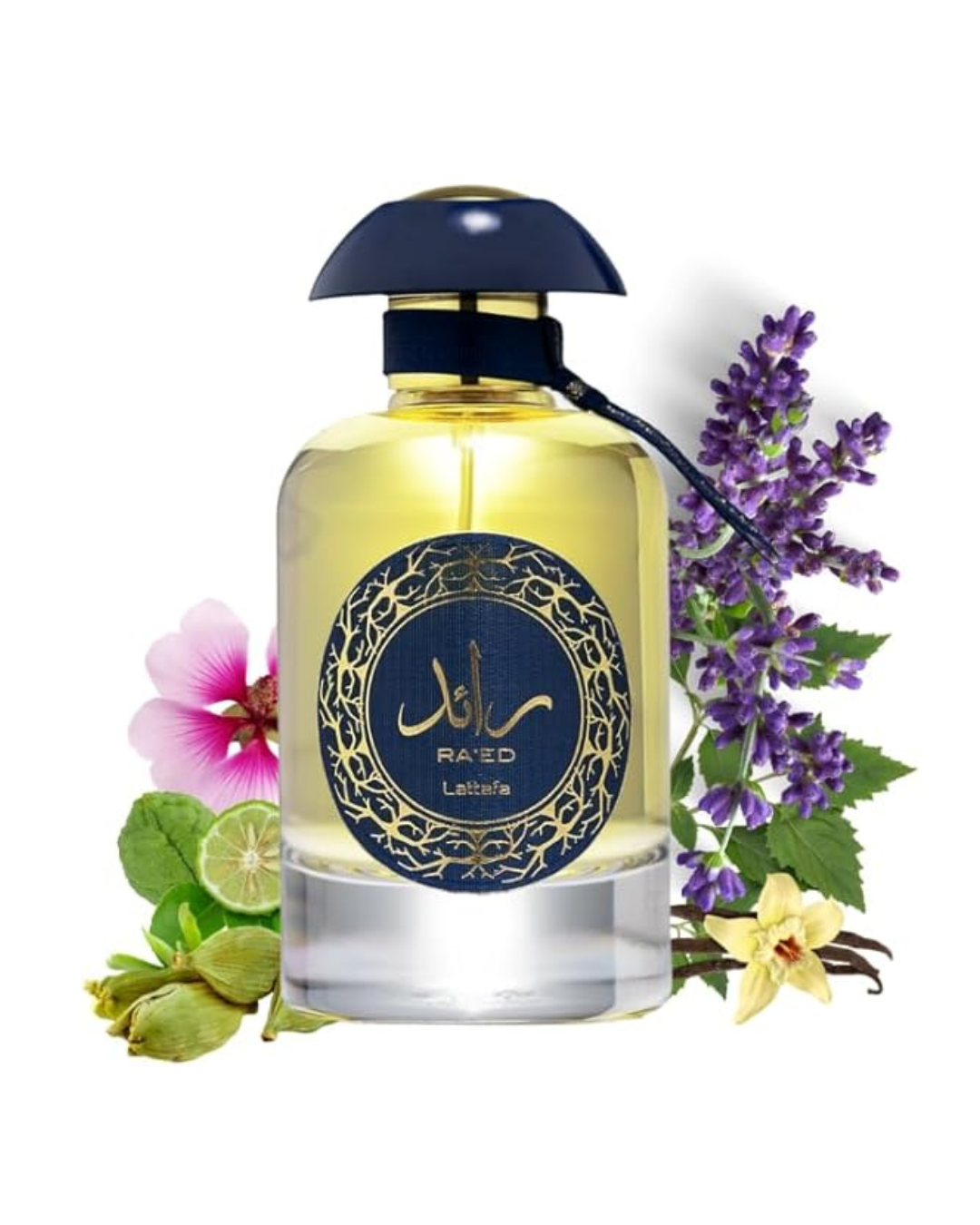 Lattafa Ra'ed Luxe - Perfume Árabe para Hombre y Mujer (Unisex) - 100ml Eau de Parfum