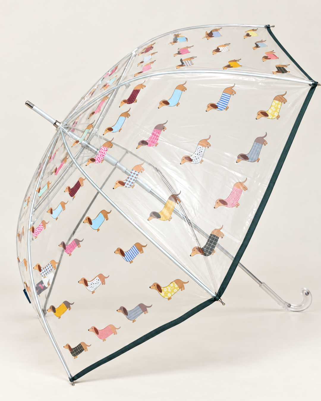 Vista lateral de paraguas transparente con estampado de perros salchicha multicolores, ribete oscuro y mango curvo transparente.